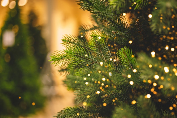 Close-up image of a Christmas tree with lights on it.